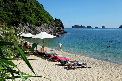 Cát Dứa Cát Dứa
