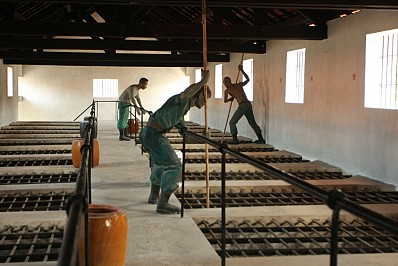 Chuồng cọp kiểu Pháp Chuồng cọp kiểu Pháp
