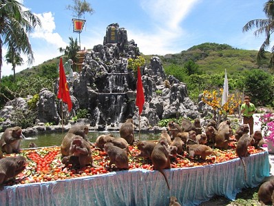 Đảo Khỉ Nha Trang Đảo Khỉ Nha Trang