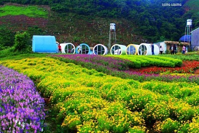 Happy Land Mộc Châu Happy Land Mộc Châu
