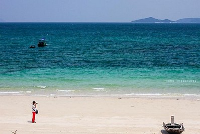 Hồng Vàn Hồng Vàn