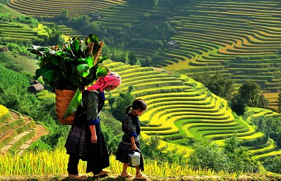 Ruộng bậc thang Chế Xù Phình, La Pán Tẩn Ruộng bậc thang Chế Xù Phình, La Pán Tẩn