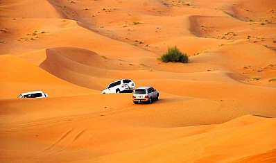 Sa Mạc Safari Sa Mạc Safari