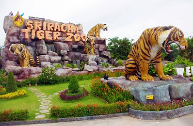 Sriracha Tiger Zoo Sriracha Tiger Zoo