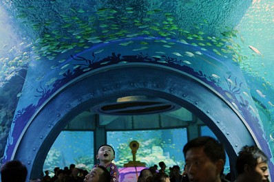 Viện Hải Dương Học Nha Trang Viện Hải Dương Học Nha Trang