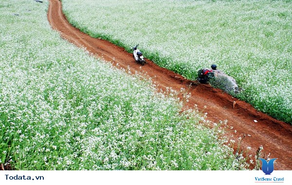 Vẻ Đẹp Mộc Châu Những Ngày Mùa Đông Đến - Ảnh 28