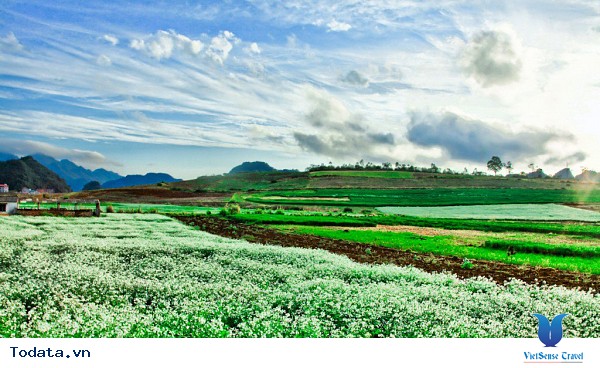 Vẻ Đẹp Mộc Châu Những Ngày Mùa Đông Đến - Ảnh 26