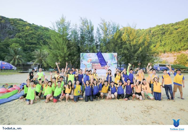 Công ty TNHH Tuấn Nghĩa Và Hành Trình Khám Phá Cát Bà Cùng VietSense Travel - Ảnh 5 Công ty TNHH Tuấn Nghĩa Và Hành Trình Khám Phá Cát Bà Cùng VietSense Travel - Ảnh 5