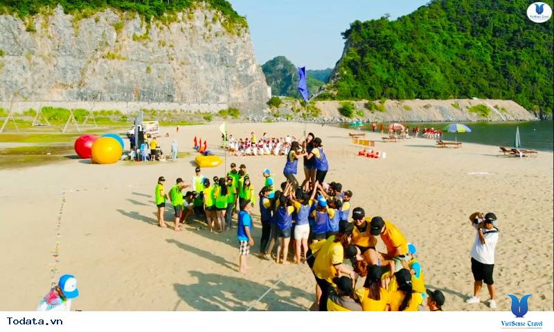 Công ty TNHH Tuấn Nghĩa Và Hành Trình Khám Phá Cát Bà Cùng VietSense Travel - Ảnh 10 Công ty TNHH Tuấn Nghĩa Và Hành Trình Khám Phá Cát Bà Cùng VietSense Travel - Ảnh 10
