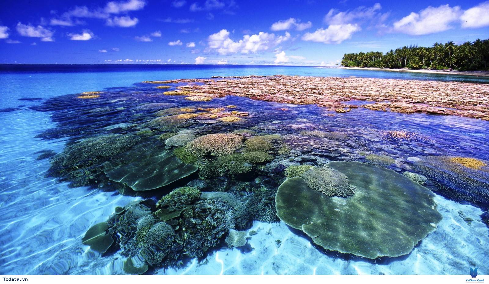 Coral Island – Hòn đảo san hô mê hồn du khách