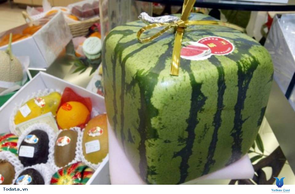 Điểm tên kho tàng trái cây hàng nghìn USD ở Nhật Bản