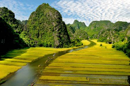 Du lịch Tam Cốc - Bích Động vào “mùa vàng” - Ảnh 1 Du lịch Tam Cốc - Bích Động vào “mùa vàng” - Ảnh 1
