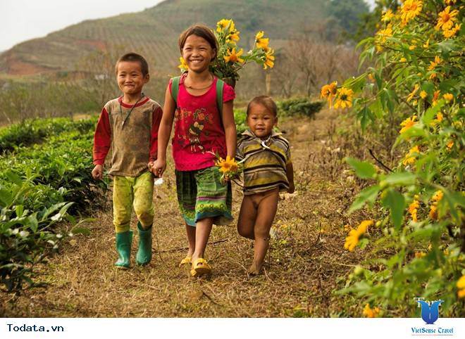 Mộc Châu tháng 11 hoa cải nở trắng trên cao nguyên - Ảnh 6 Mộc Châu tháng 11 hoa cải nở trắng trên cao nguyên - Ảnh 6