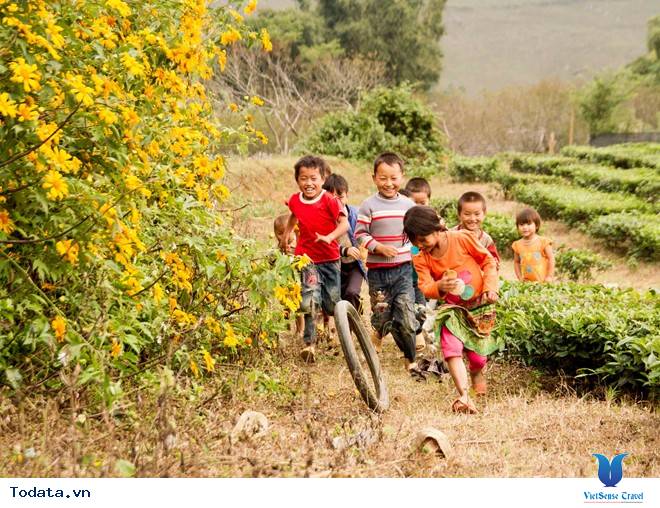 Mộc Châu tháng 11 hoa cải nở trắng trên cao nguyên - Ảnh 7 Mộc Châu tháng 11 hoa cải nở trắng trên cao nguyên - Ảnh 7