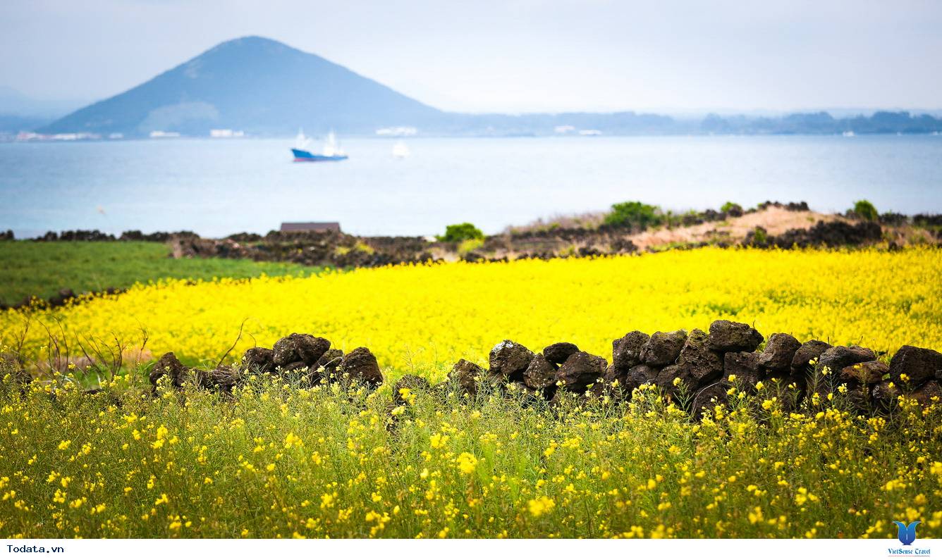 Khám phá nét đẹp của những hòn đảo đáng sống nhất Hàn Quốc