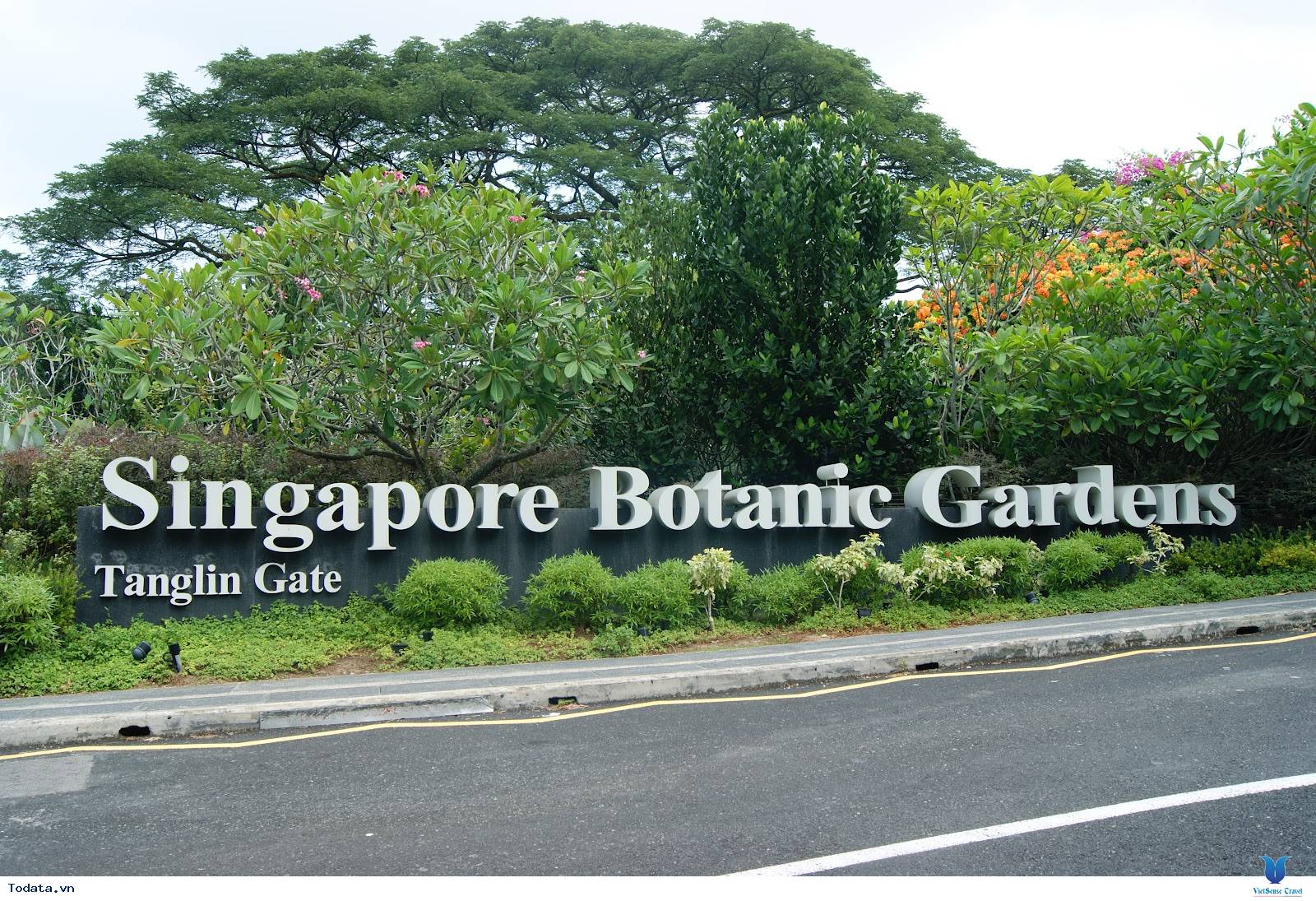 Khám Phá Thế Giới Thực Vật Tại Vườn Bách Thảo Của Singapore
