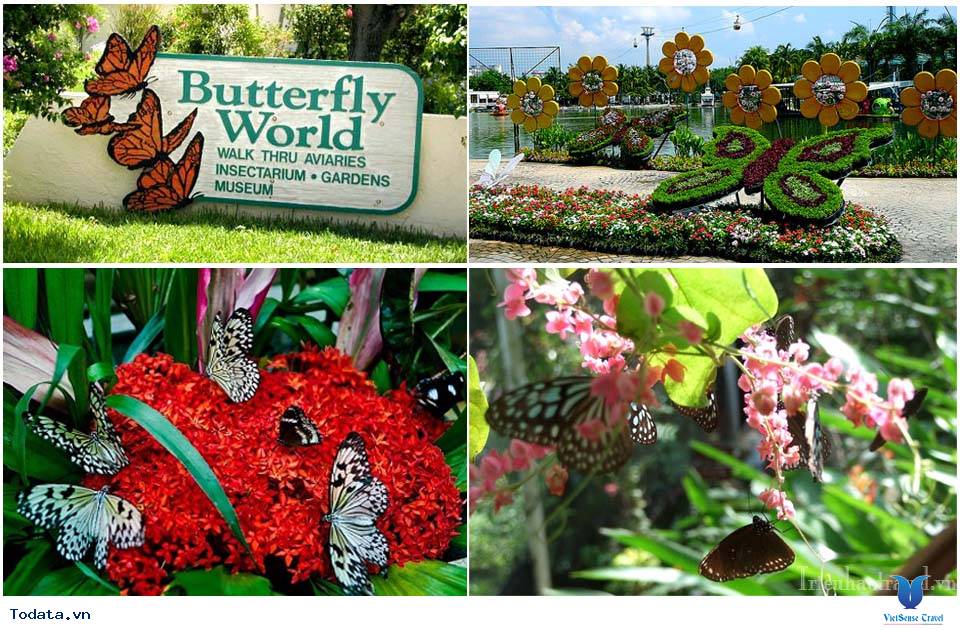 Lạc vào chốn thần tiên tại Vườn bướm Butterfly Garden ở Phuket