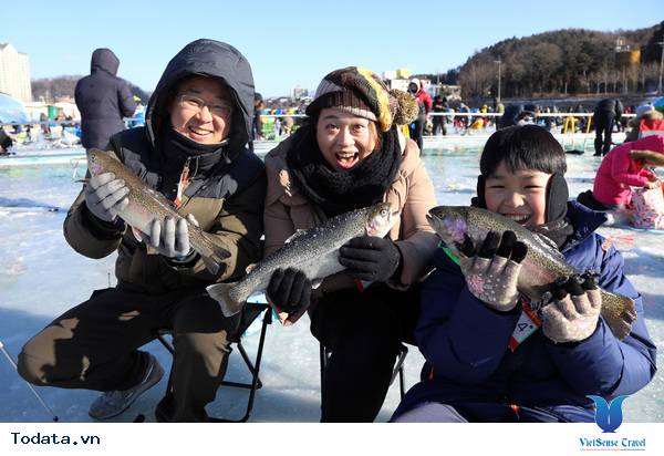 Lễ hội bắt cá hồi trên băng Sancheoneo Hwacheon
