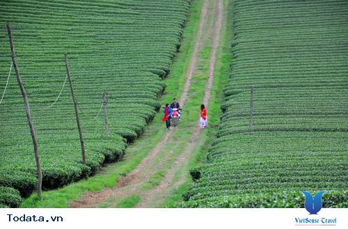 hành trình Mộc Châu - Chốn bình yên sau những ngày vội vã - Ảnh 1