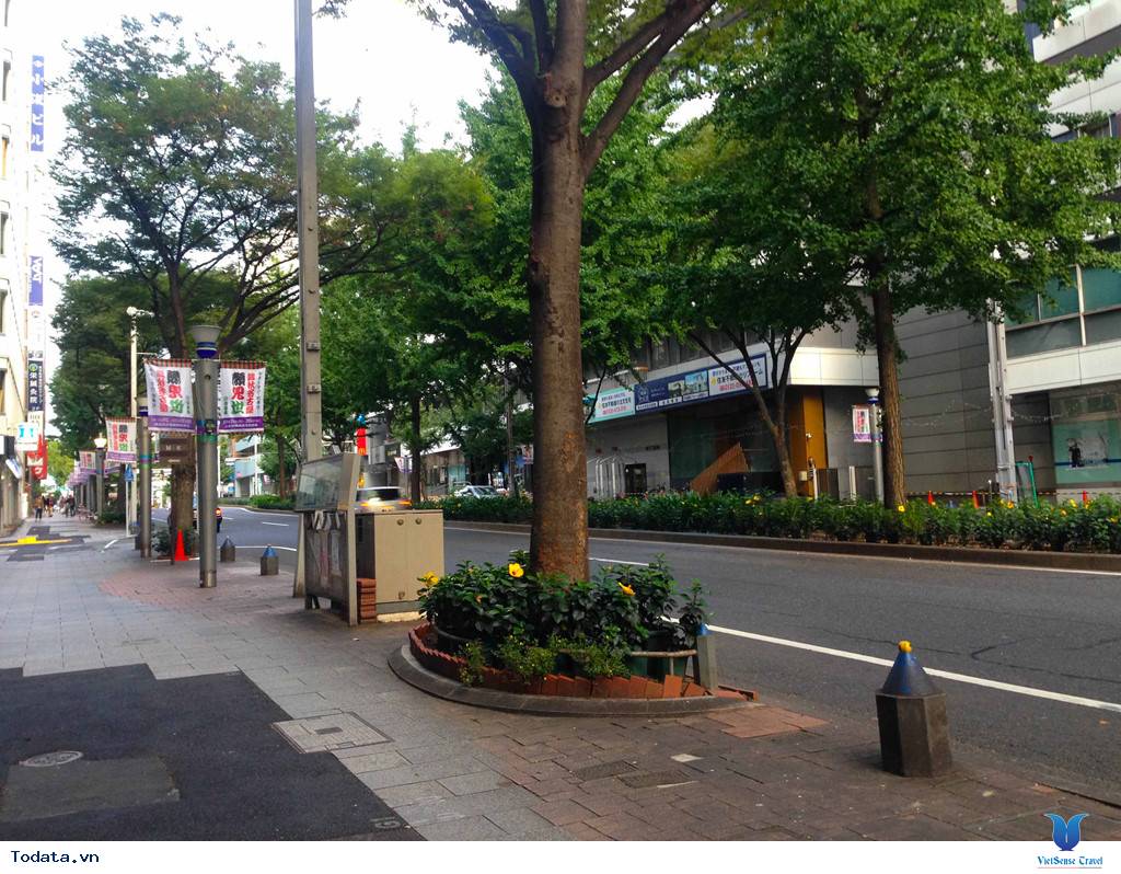 Ngắm khung cảnh bình yên vào buổi sáng của các thành phố lớn của Nhật Bản