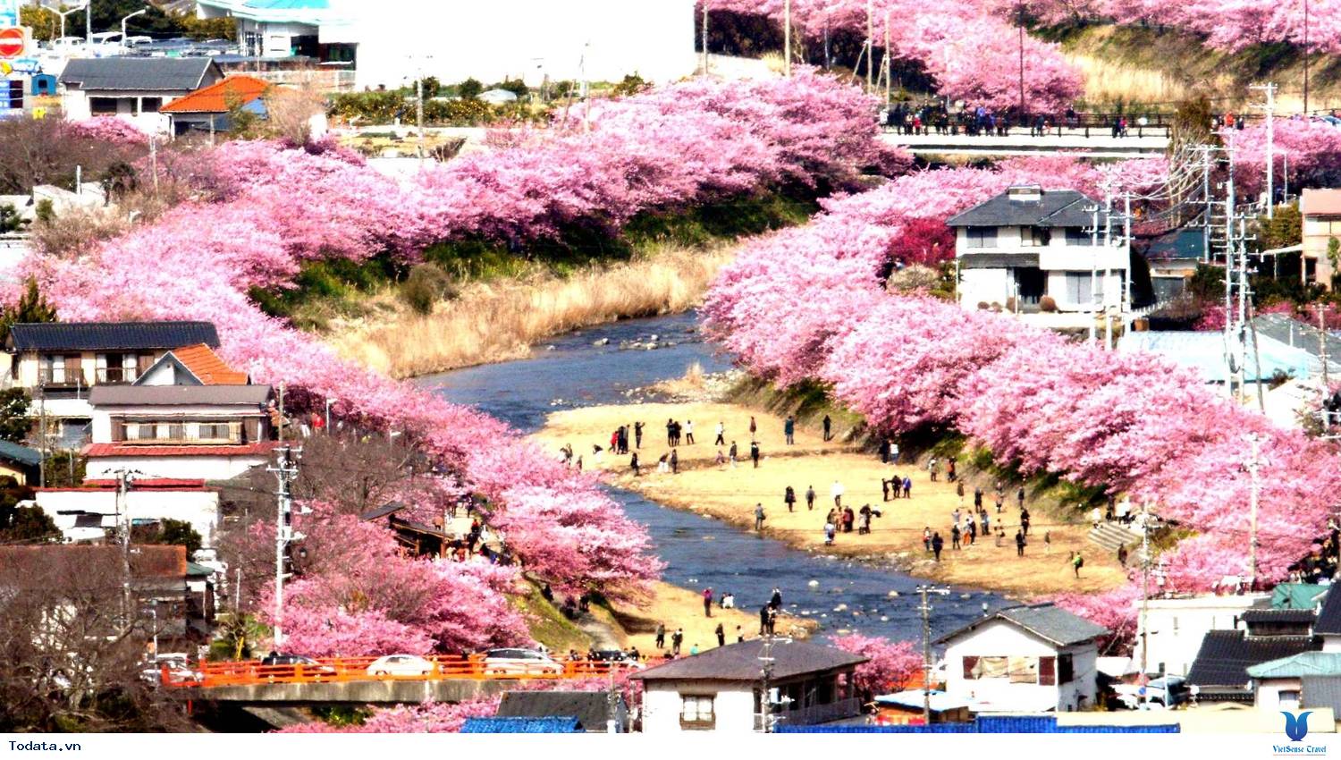 Những địa điểm để thưởng ngoạn hoa anh đào ở Nhật Bản
