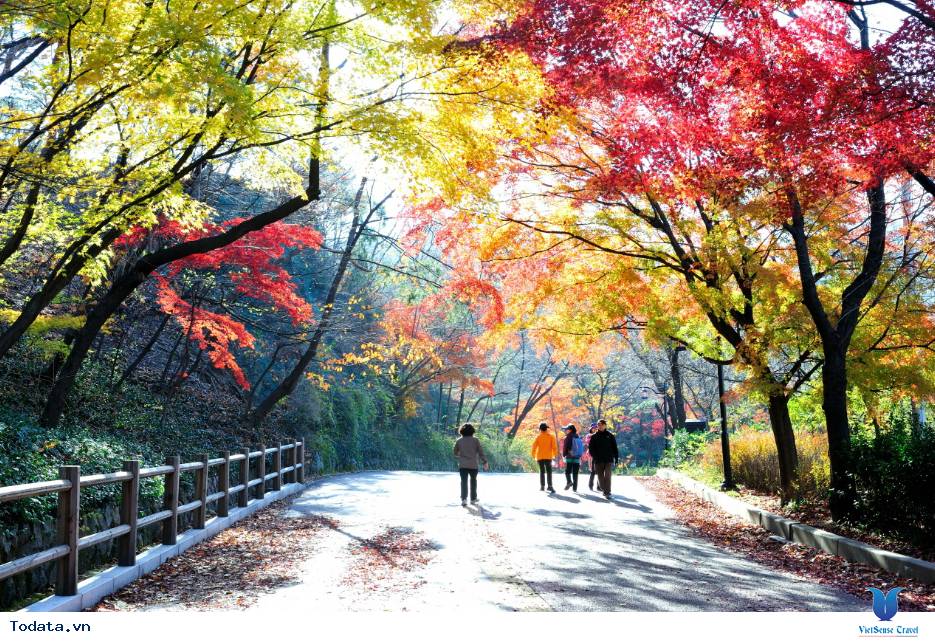 Những điểm du lịch Hàn Quốc đẹp nhất khi sắc trời vào thu