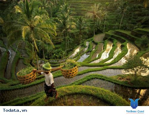 Tin hay cho những người yêu du lịch Bali
