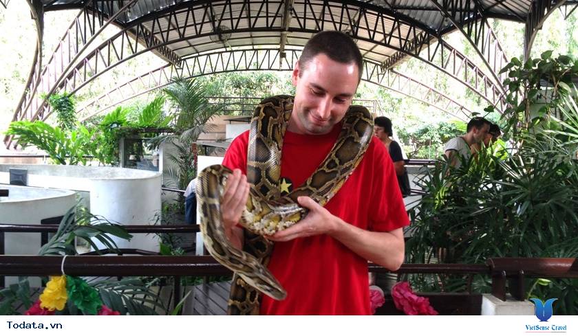 Trải nghiệm tại trại rắn Bangkok của Thái Lan
