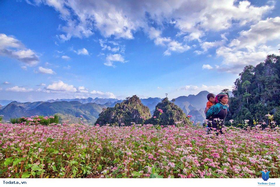 Tưng bừng lễ hội hoa tam giác mạch lần 2 năm 2016 ở Hà Giang