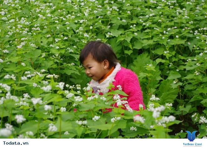 Vẻ Đẹp Mộc Châu Những Ngày Mùa Đông Đến - Ảnh 8