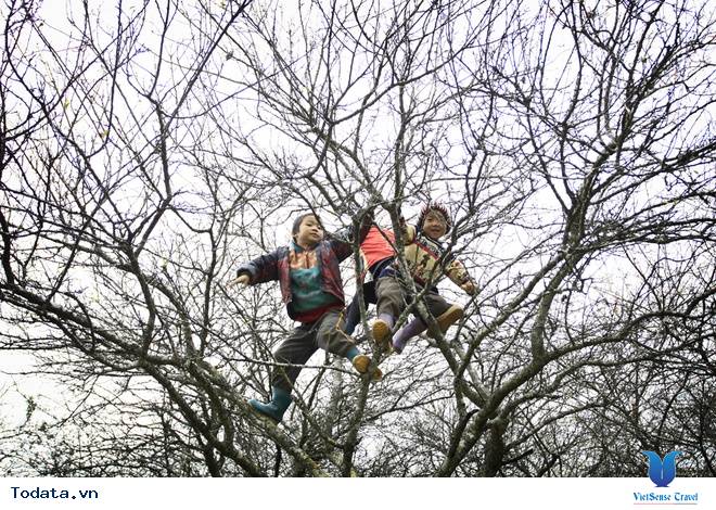 Vẻ Đẹp Mộc Châu Những Ngày Mùa Đông Đến - Ảnh 9