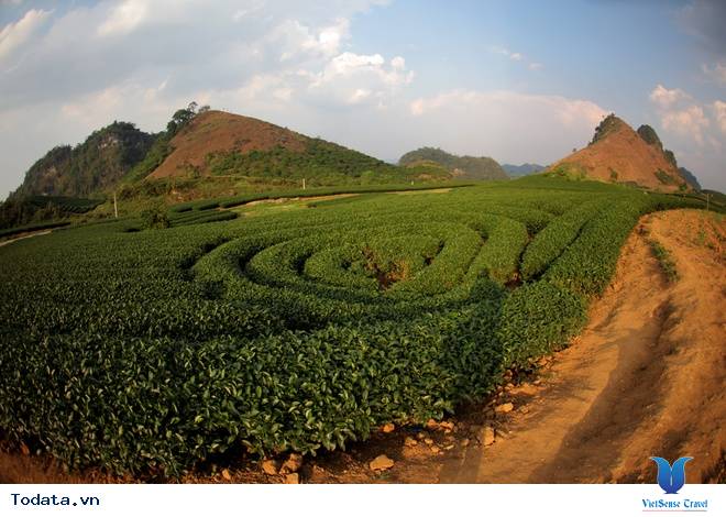 Vẻ Đẹp Mộc Châu Những Ngày Mùa Đông Đến - Ảnh 5