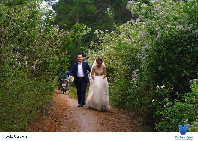 Vẻ Đẹp Mộc Châu Những Ngày Mùa Đông Đến - Ảnh 7