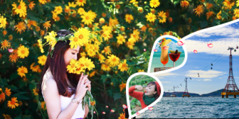 Hà Nội - Nha Trang - Vinperl Land TẾT DƯƠNG LỊCH (Chưa Vé Máy Bay) Hà Nội - Nha Trang - Vinperl Land TẾT DƯƠNG LỊCH (Chưa Vé Máy Bay)