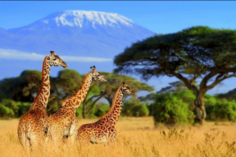 Nam Phi- Johannesburg– Pretoria– Sun City– Cape Town Từ Hà Nội Nam Phi- Johannesburg– Pretoria– Sun City– Cape Town Từ Hà Nội