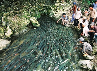 SẦM SƠN - SUỐI CÁ THẦN - THÀNH NHÀ HỒ 3 NGÀY 2 ĐÊM SẦM SƠN - SUỐI CÁ THẦN - THÀNH NHÀ HỒ 3 NGÀY 2 ĐÊM