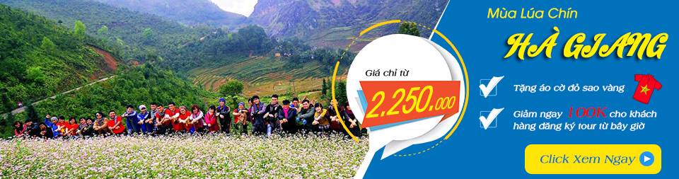 Hà Giang Mùa Hoa Tam Giác Mạch 3 Ngày - Ảnh 1