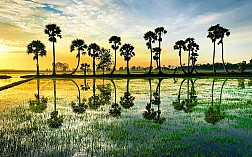 An Giang – “thiên đường thăm quan, trải nghiệm
 mùa nước nổi”