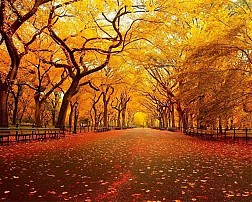 Bốn Mùa Rực Rỡ Sắc Màu Ở Nami