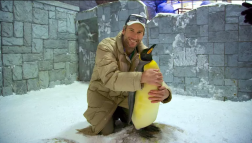 Cận cảnh Khu trượt tuyết Ski Dubai Dubai