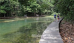 Cây cầu dài tít tắp ở MacRitchie Nature Trail & Reservoir Park