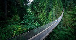 Chiếc cầu treo lơ lửng Capilano Suspension Bridge Park