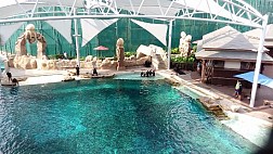 ông viên nước Adventure Cove Waterpark vui nhộn hang đầu ở Singapore