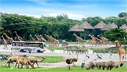 Công Viên Safari World, điểm du lịch hấp dẫn