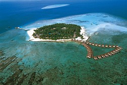Đảo Alimatha điểm đến không thể bỏ qua khi đến Maldives