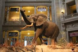 Đến Maldives Để Tham Quan Công Viên Sultan Mơ Mộng