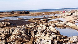 Địa điểm của lý sơn đẹp vậy ư