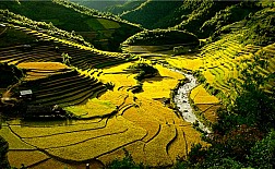 Hà Nội - Mộc Châu - Sơn La - Mù Cang Chải