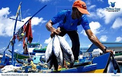 trải nghiệm tham quan chợ cá Male