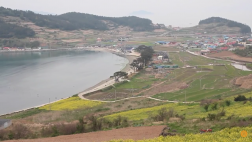 Hình ảnh thực tế chuyến đi đến Cheongsando Hàn Quốc